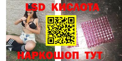 шишки Ставрополь