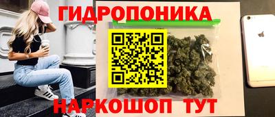 шишки Ставрополь